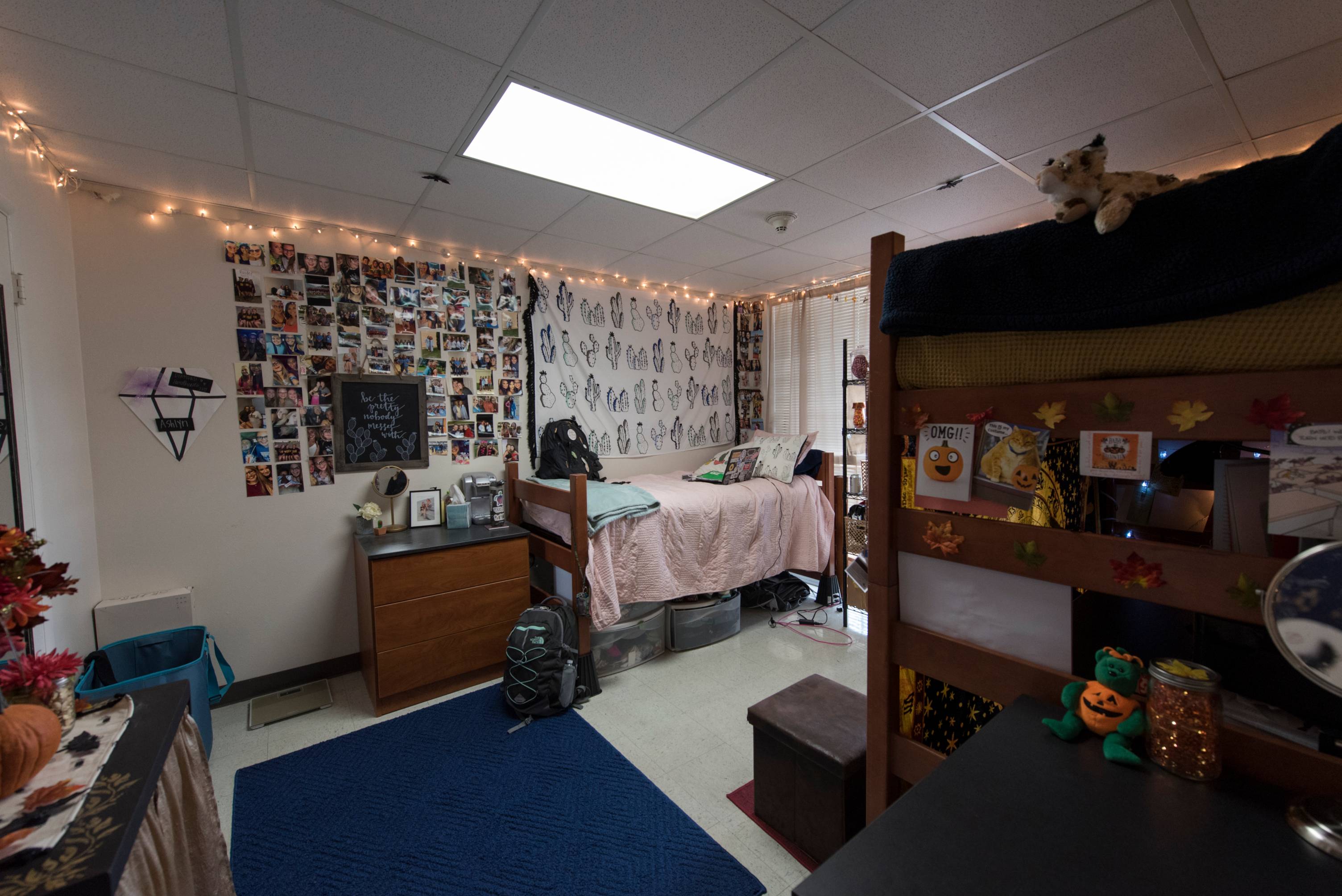 The College Inn Housing And Residential Life Texas State University